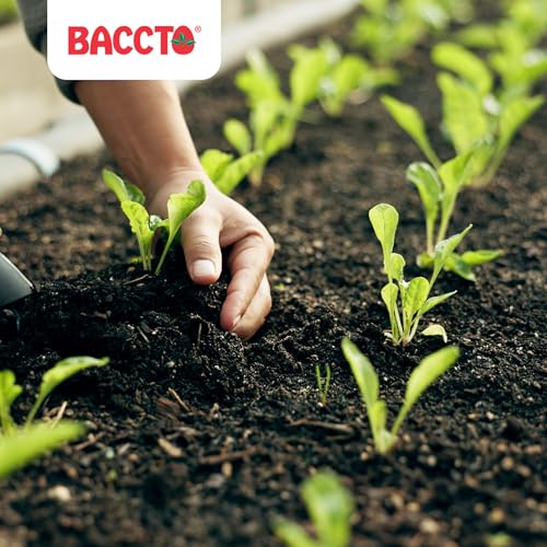 Michigan Peat Baccto Wholly Cow Compost 40 Quart miniatura 4