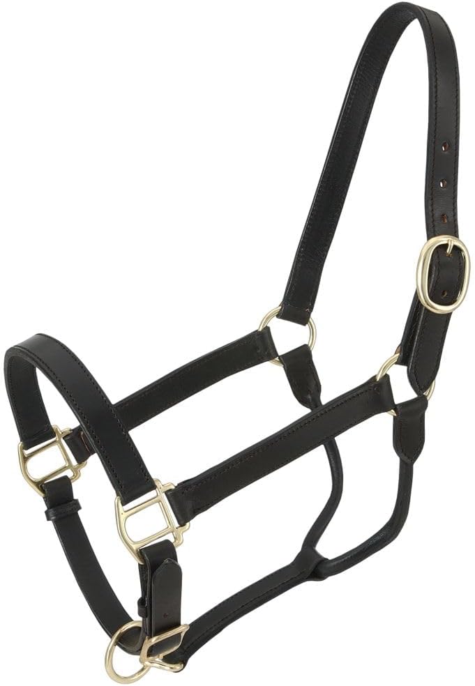 Royal King Leather Stable Halter