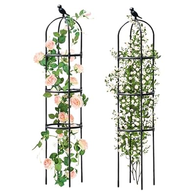 Garden Trellis for Climbing Plants Outdoor, Metal Plant Trellis with PE Coated, Rustproof Plant Support for Flowers Vegetable Vine, Tomato cage for Potted Plants Indoor Outdoor,Lightweight - 2 Pack