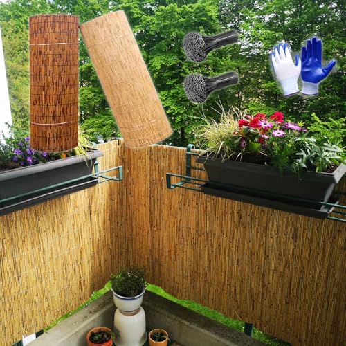 Schilfrohrmatte Sichtschutz Natürlich 30cm 60cm 80cm 120cm 140cm 150cm...