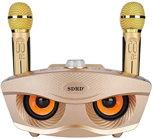 Bluetooth ワイヤレス カラオケマイク 2本 ポータブルスピーカー ホームKTV カラオケ機器 AUX (ゴールド)の画像