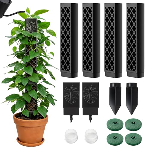 Haoledy Moosstab Selbstbewässerung Erweiterbar 4 Stück 24 5cm Monstera Rankhilfe Pflanzenstütze Kletterhilfe Hohle D-förmige Pflanzstab Pflanzen Zubehör Moss Pole Rankhilfe Zimmerpflanzen(Schwarz)
