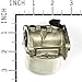 Briggs & Stratton 799868 Small Engine Carburetor Replaces for 498254, 497347, 497314, 498170 , Silver