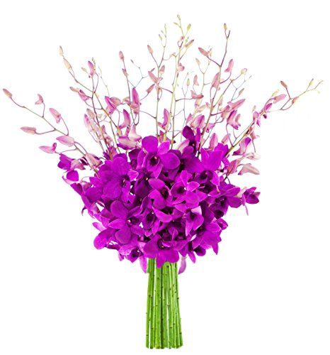 Image of KaBloom-20 Purple orchid Bouquet,Flowers for Valentine, Mother's Day