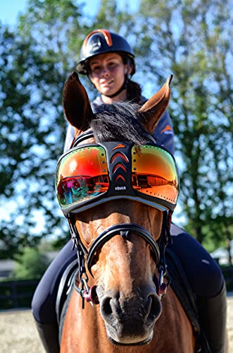 Lunettes eQuick Evysor Rainbow pour la protection oculaire du cheval de sport