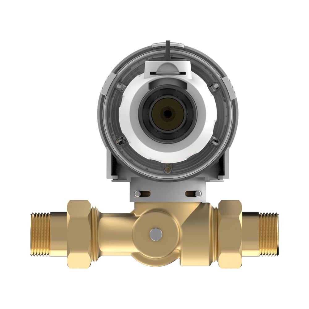 Rückspülfilter 1" Aqmos mit Druckminderer Wasserfilter Filter Hauswasserfilter