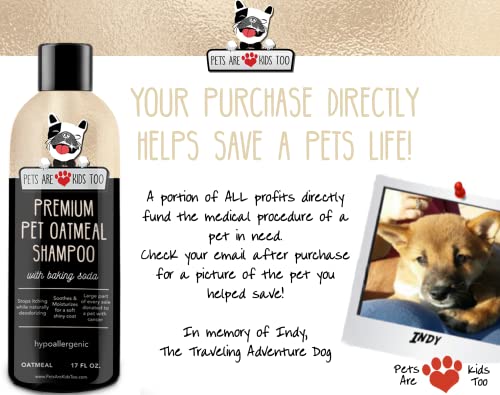 Pet Oatmeal Anti-Itch Shampoo & Conditioner in One! Smelly Puppy Dog & Cat Wash! Relief for Allergies, Itchy, Dry… - Image 6