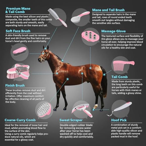 Harrison Howard Shinewell 11 Peças Kit de Limpeza de Cavalos Conjunto de Limpeza para Cavalos com Es