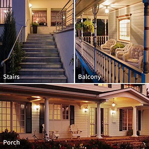 Dimmable E26 Edison Bulb T45 Light Bulb 8W Equal 75 Watt Light Bulb Ac120V Warm 2700K E26 Light Bulb For Ceiling Fan Light Bulbs,Appliance Bulb And Refrigerator Light Bulb 800Lm Clear Medium 6Pack #TOP5