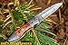 DKC Knives (40 6/18) DKC-59 Dartmouth Damascus Folding Pocket Knife 4.5