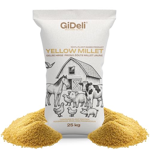 GiDeli Millet jaune 20 kg – Nourriture pour perruches, graines de millet – Nourriture pour...