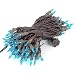 Novelty Lights 100 Light Teal Christmas Mini Light Set, Brown Wire, 50' Long