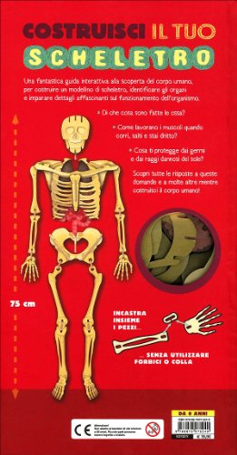 Costruisci Il Tuo Scheletro E Scopri Come Funziona Il Corpo Umano. Con Modellino Da Montare - 3