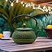 900ml Cast Iron Tea Kettle,SECHUDO Teapot Coated with Enameled Interior for Loose Leaf, Small Cast Iron Teapot with Strainer for Stovetop Safe, Green Iron Kettle(30.4oz)