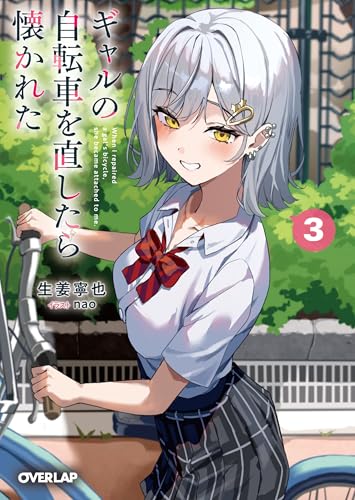 ギャルの自転車を直したら懐かれた 3 (オーバーラップ文庫)