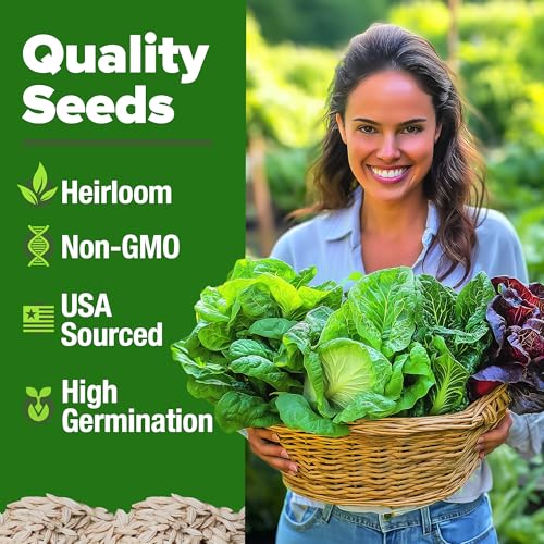 Image of HOME GROWN Lettuce Seeds 5 Variety Mix 3950+ Bulk Pack Heirloom Non-GMO, High Germination, Romaine, Bibb, Buttercrunch, Iceberg, Black Seeded Simpson, Indoor Outdoor Hydroponic Garden (Lactuca sativa)