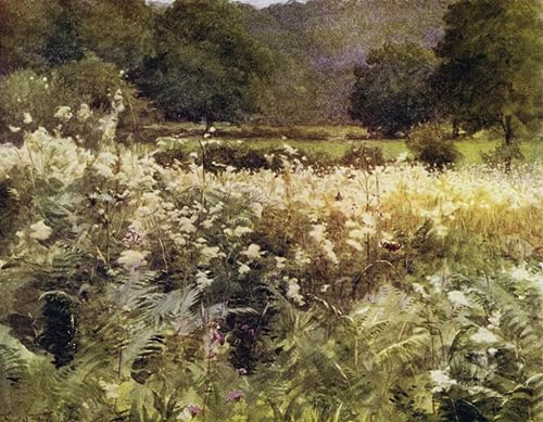 Impression prints toile New Forest Meadow Sweet - Finition artistique premium 60x90