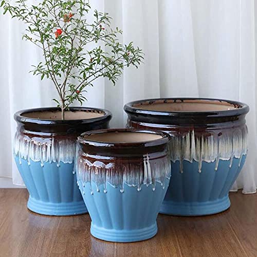 Pot de fleurs avec trou de drainage pour éviter le pourrissement des racines