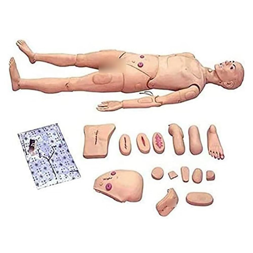 DARZYS Patient Care Medical Manikin, 170 cm, Nursing Training Human Mannequin, Ideal for Medical Education, Students & Teaching