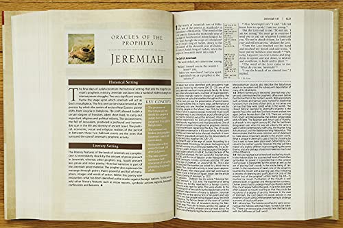 Harpercollins 086509 Niv, Cultural Backgrounds Study Bible thumb #9