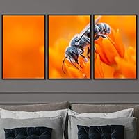 3 Piece Framed Canvas Wall Art Colorful Bee Insects Canvas Prints Home Artwork Decoration for Living Room,Bedroom - 16