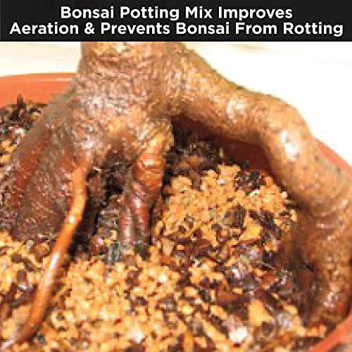 Image of Combo of 100% Organic Bonsai Potting Soil Mix (5 kgs) + Rootex (25 GMS)