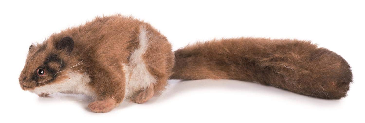 Leadbetter Possum Plush Toy By Hansa 10cm