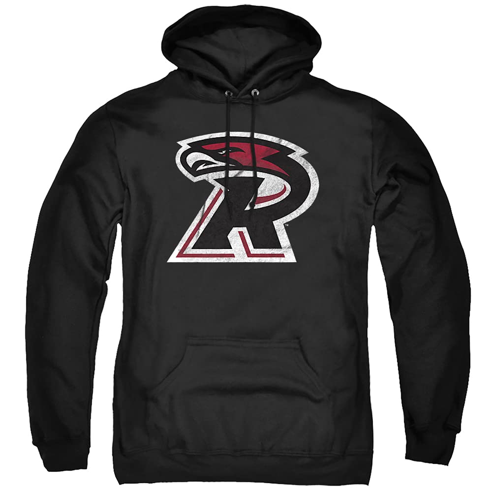 LOGOVISION Official Collegiate Distressed Primary Logo Adult Pullover Hoodie Collection — view 411