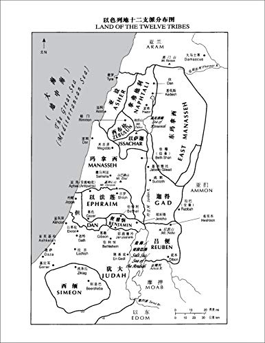 CUV (Simplified Script), NIV, Chinese/English Bilingual Bible, Paperback, Red/Black (Chinese Edition) - Image 8