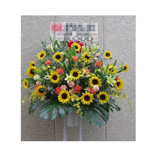 jEJXENaEE\ȂǁA؁IiX^h