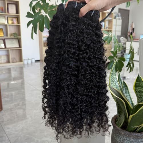 3C4A Burmese Curly Human Hair Bundles 20 Inch 1 Bundles Unprocessed Burmese Raw Hair Extension Real Human Hair 16A Natural Color Curly End Real Hair Weft Extensions
