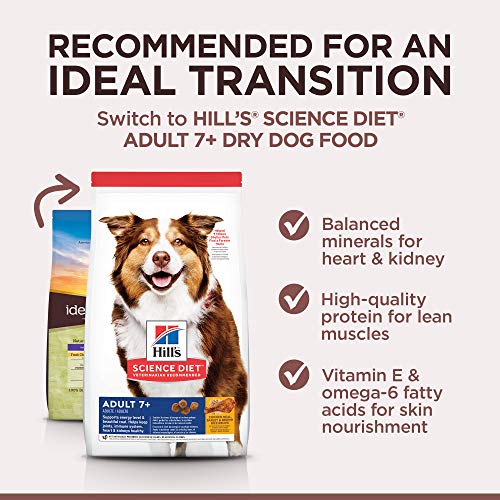 hills balance dog food