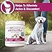 Vet Classics ArthriEASE-Gold Advanced Joint Support for Dogs, Cats, – Supports Pet Flexibility, Discomfort – Helps Improve Dog Joint Movement, Cat Cartilage Health - Includes Antioxidants – 120 Ct.