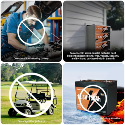 2 Pack 12V 100Ah LiFePO4 Battery