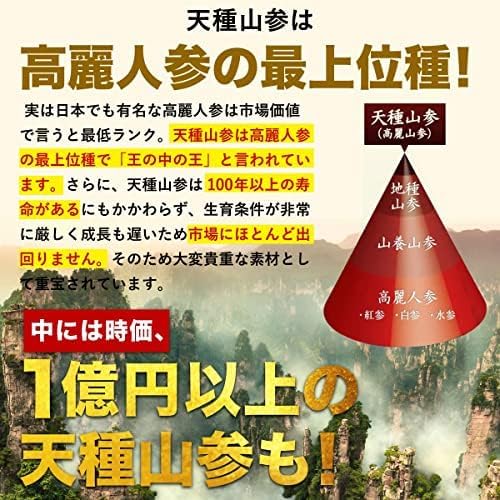 Amazon | ファイターキング 闘王 60粒×2袋約2ヵ月分 [ クラチャイダム