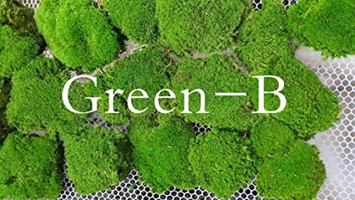 Preserved Pole Moss Pillow Bun Cushion Natural Green Decorative Real Natural Green DIY Kit Terrariums Gardenning Art Wall Decor Florist Decor Easter Table Decor Wedding(6.0 sq.ft., Green-B)