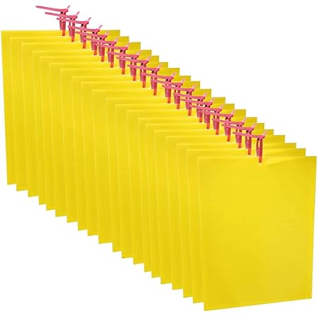 Amazon Acmetop 害虫捕獲粘着紙 捕り粘着シート 捕虫シート 15 20cm 24枚入り 害虫対策用品 強力 両面粘着紙 防水 安全無毒 簡単取付 粘着トラップ コナジラミ アザミウマ アブラムシ ハエ 蜂 蚊除け 室内外対応 黄色 捕虫器