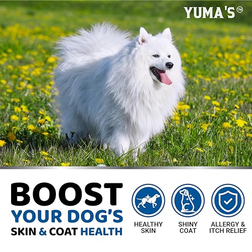 Omega-3-Fish-Oil-for-Dogs-170-Chews-Skin-and-Coat-Supplement-Omega-3-for-Dogs-Dry-Itchy-Skin-Relief-Treatment-Allergy-Support-Dog-Anti-Shedding-Treats-Salmon-EPA-DHA-Chicken-Flavor Omega 3 Fish Oil for Dogs 170 Chews Skin and Coat Supplement Omega 3 for Dogs Dry Itchy Skin Relief Treatment Allergy Support Dog Anti Shedding Treats Salmon EPA DHA Chicken Flavor