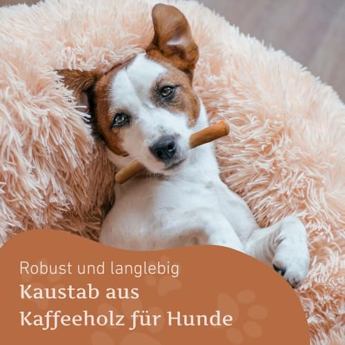 Wildfang® Kaffeeholz für Hunde – natürliches, unzerstörbares Kauspielzeug aus Kauholz für Aggressive Kauer & Welpen im Zahnwechsel, Zahnpflege Spielzeug Hund, Größe XS (unter 10 kg)
