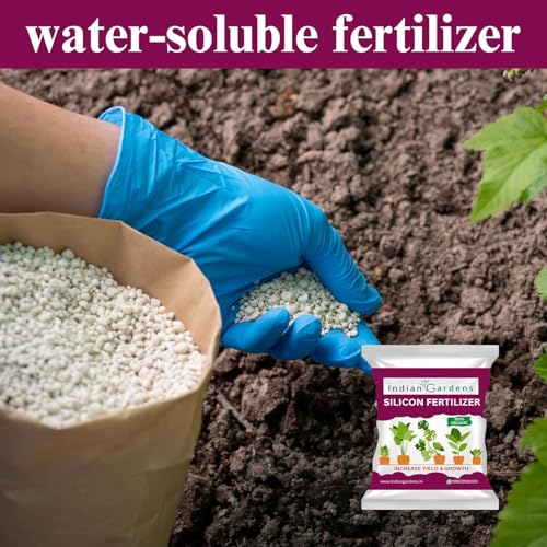 Image of Indian Gardens - Silicon Fertilizer for Plants | Plant Nutrient and Plant Food | Gardening (200 Grams)