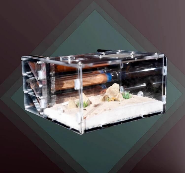 Acrylic Test Tube Ant Nest for Harvester Ants, Camponotus & Arboreal Ants, Ant Habitat Breeding Supplies