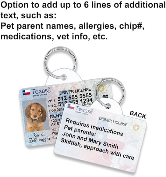 What Information To Put On Dog Id Tag
