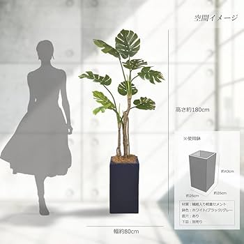 Amazon｜モンステラ ホウライショウ 180cm 特大人工観葉植物