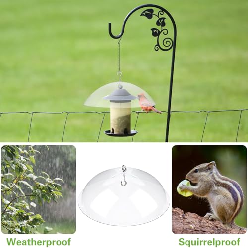 Cubierta protectora transparente para comederos de pájaros en jardines y terrazas 4