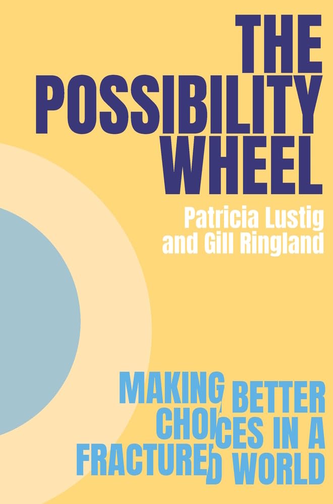The Possibility Wheel: Making better choices in a fractured world By Lustig, Pa