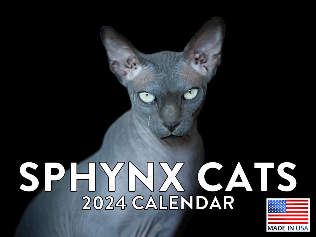 Sphynx Cat Calendar 2024 hairless Cat Wall Calander Monthly