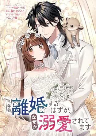 三年後離婚するはずが、なぜか溺愛されてます