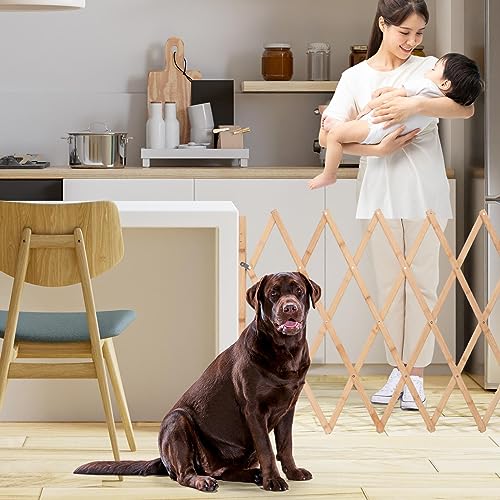 Chien qui s'échappe ? Découvrez ce portail d'extension pliable et robuste