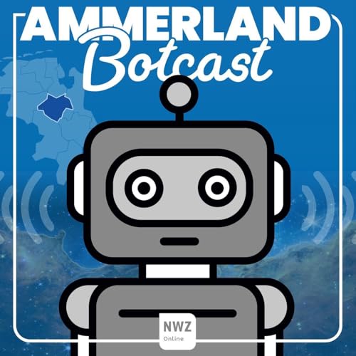 26.11.2025 - Steuererhöhungen im Ammerland stehen bevor Podcast Por  arte de portada