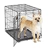 MidWest Homes for Pets 24-Inch iCrate Folding Dog Crate with Divider Panel, Leak-Proof Tray & Secure Latches – Metal Wire Kennel for Small Breeds – Portable, Durable & Easy to Assemble